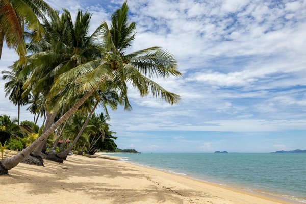 Où pratiquer le snorkeling au milieu des raies manta à Hawaii ?